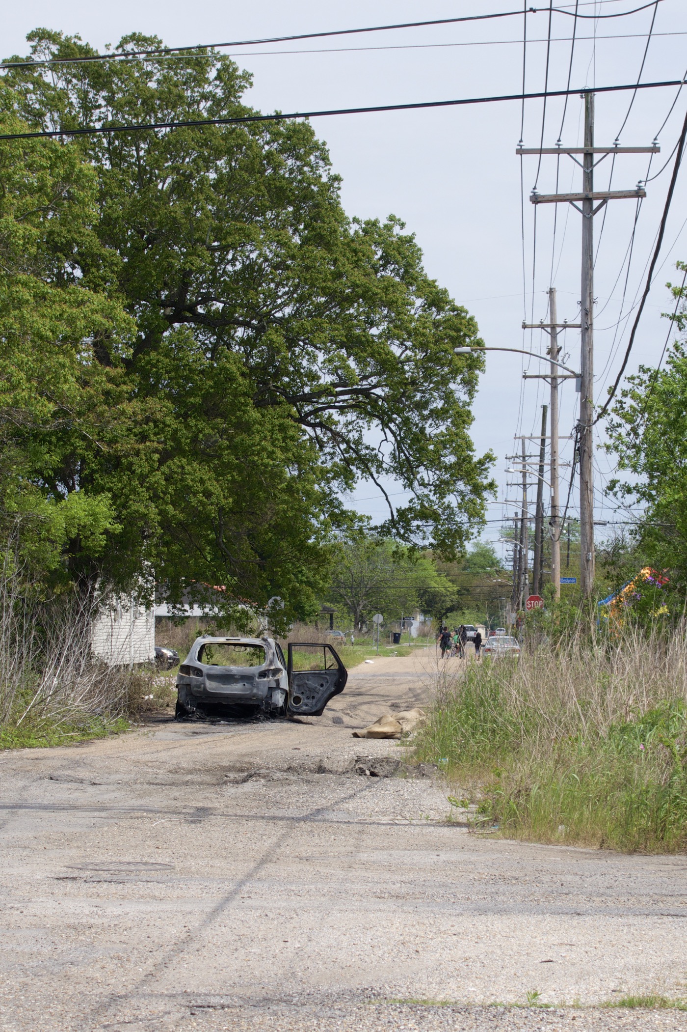 Photo 7 from New-orleans